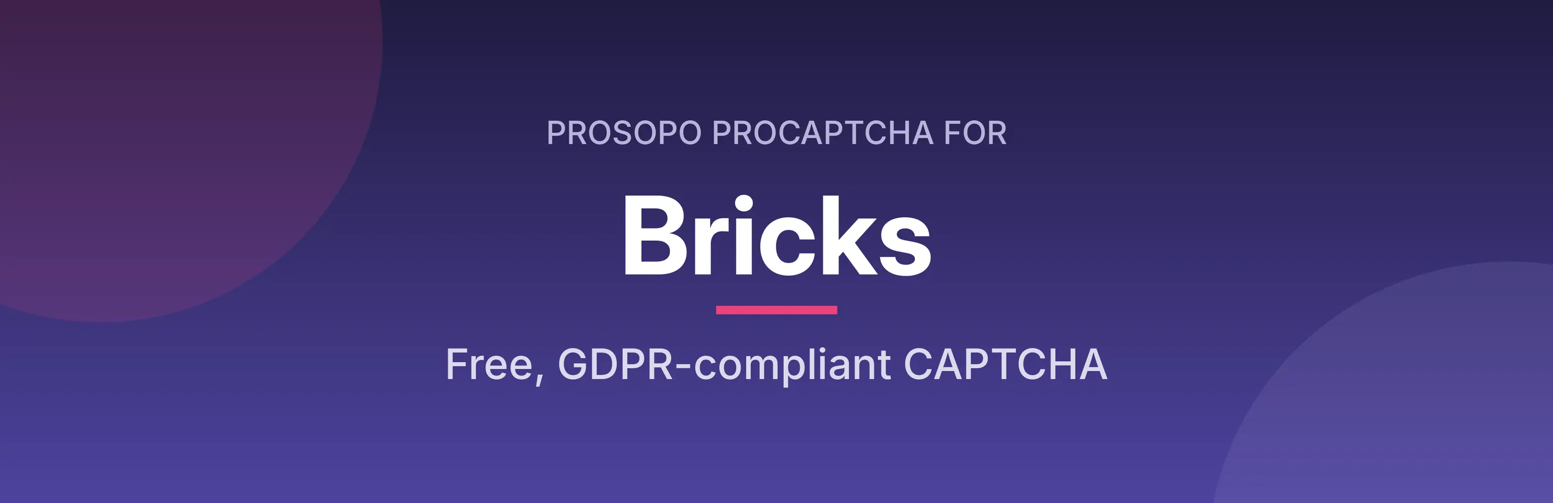 How to add CAPTCHA to Bricks